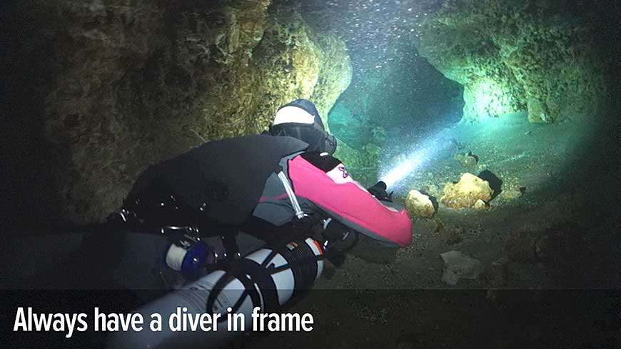Diver in frame